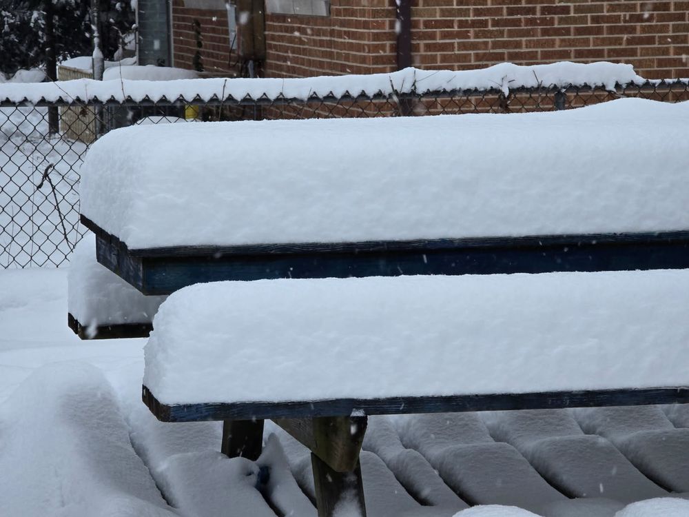 A whole freaking bunch of snow.