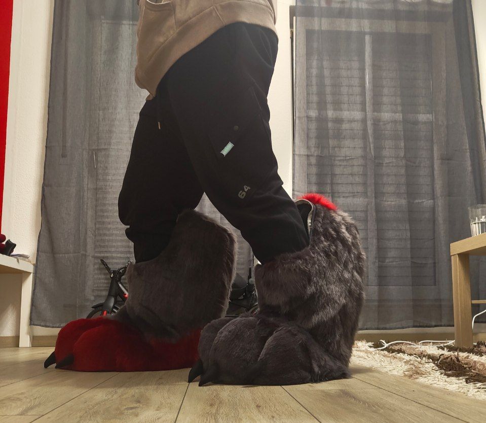 Laikas Feetpaws