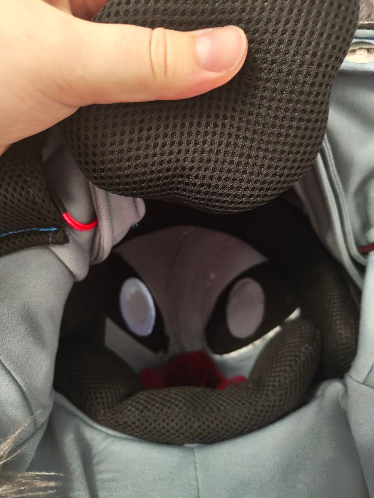 Lining inside Laikas head.