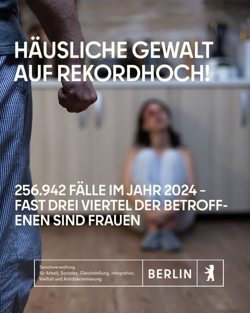 Ein Mann mit geballter Faust steht im Vordergrund einer Küche, im Hintergrund sitzt eine Frau verängstigt am Boden. Darüber steht der Text: „Häusliche Gewalt auf Rekordhoch! 256.942 Fälle im Jahr 2024 – fast drei Viertel der Betroffenen sind Frauen“. Unten das Logo der Berliner Senatsverwaltung für Arbeit, Soziales, Gleichstellung, Integration, Vielfalt und Antidiskriminierung.