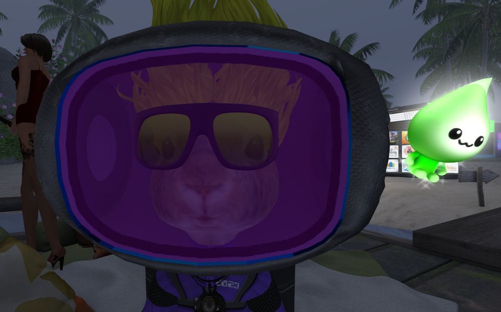 Dinkie Bunneh Fisher Bunneh