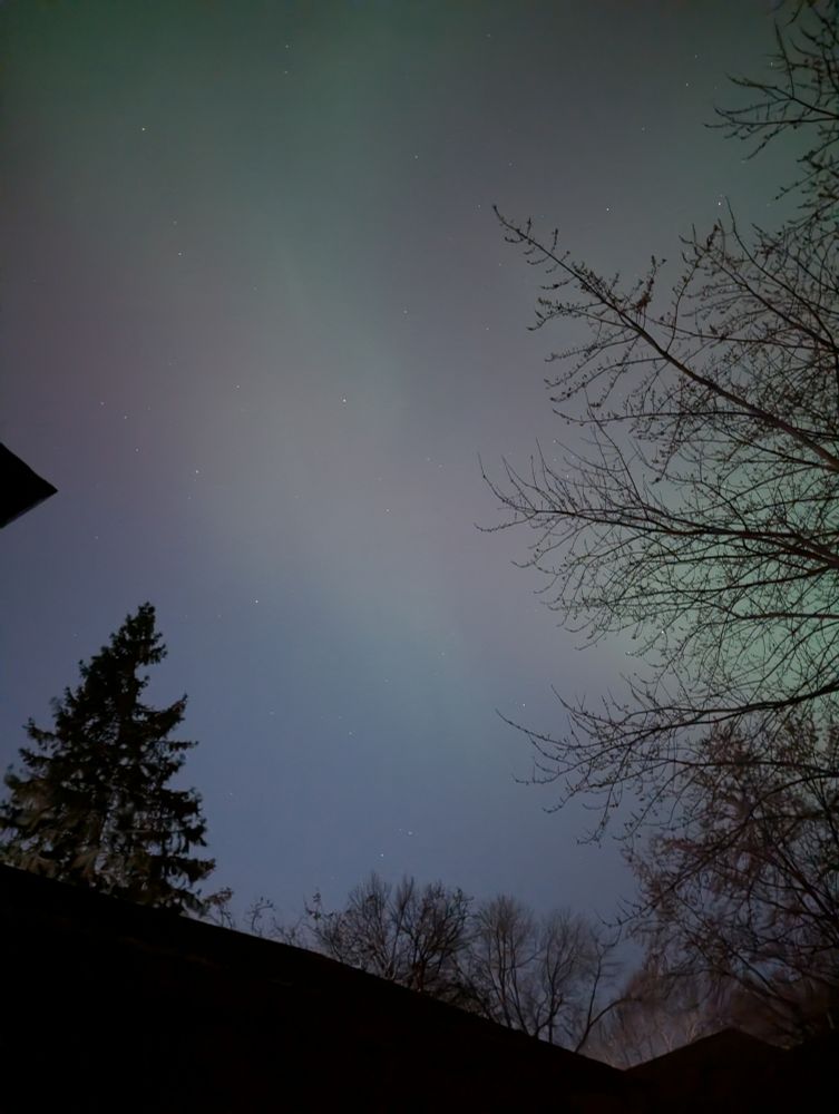 Wisps of green and pink in the skies above a roofline and trees.
