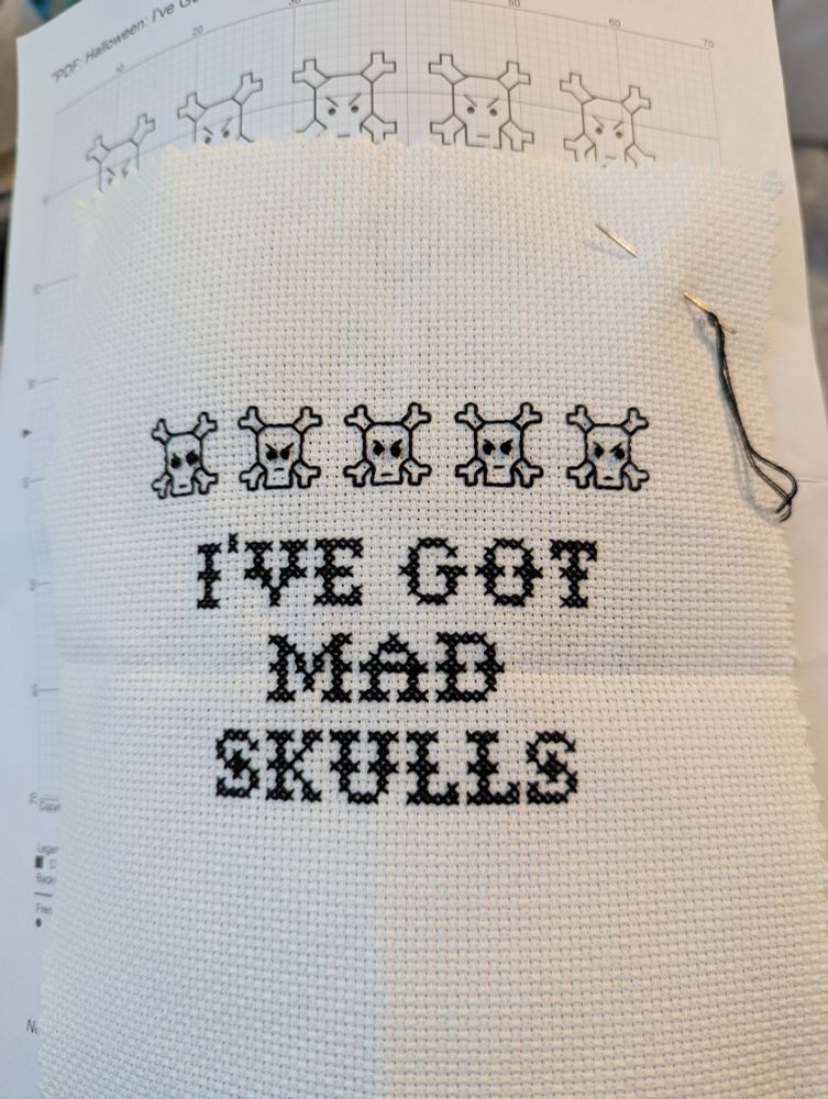 A row of five cross stitch skulls with the words "I've got mad skulls" beneath it.