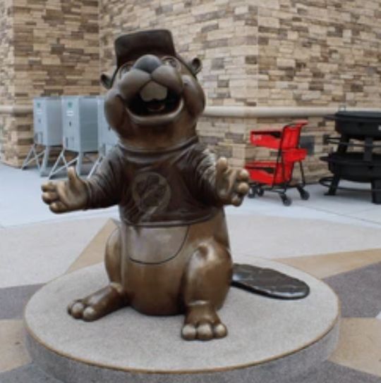 A giant brass statue of a cartoon beaver wearing a t-shirt and a cap. This statue can be found outside the Texas gas station chain Buc'ee's. 