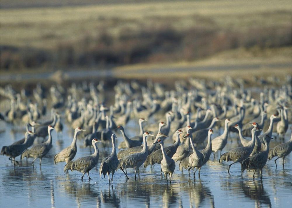 The proposal would have let landowners donate land to the refuge.