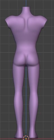 wip backview