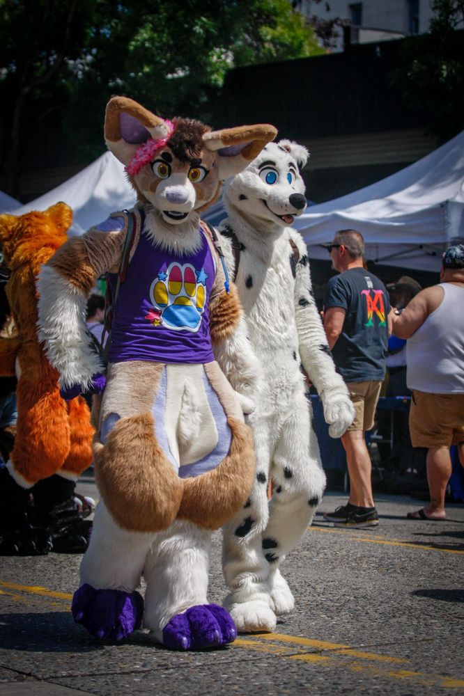 Sass and Scatterplot holding laws at pride
