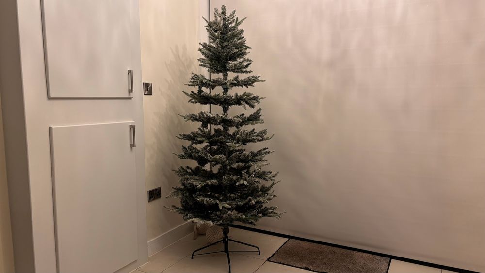 November 20th: Lone Christmas Tree poised to be decorated … 