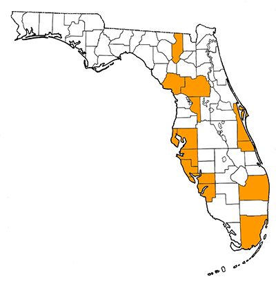 the outline of Florida and its counties with several down the center into Tampa colored in bright orange