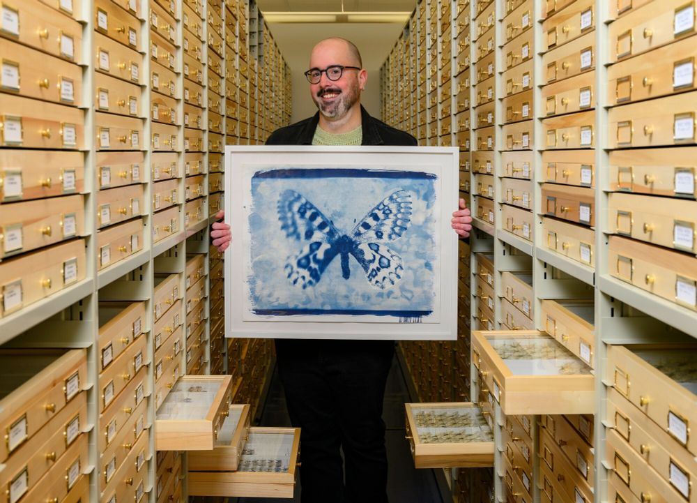 a person with a silver beard and glasses is holding a large blue toned print of a butterfly while standing in a corridor lined with many shallow wooden drawers in ceiling-high cabinets