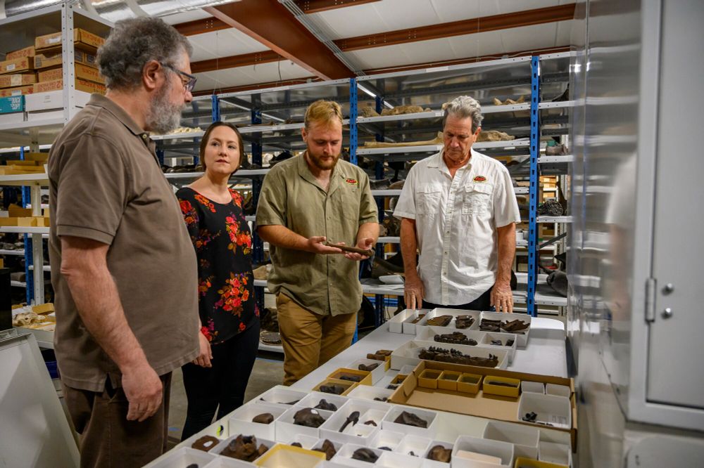 Four people are standing around a table covered in small boxes with different types of what look like fossils while surrounded by shelves storing many more boxes and trays of fossils