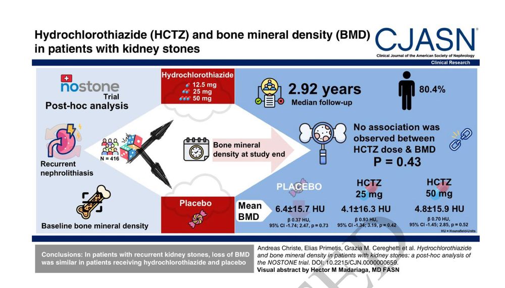 visual abstract of NOSTONE and bone density from Hector 