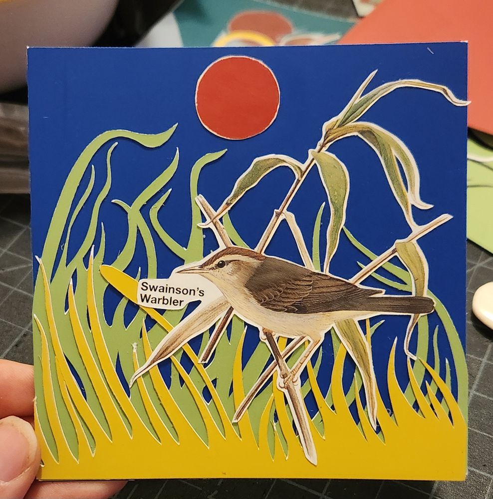 Swainson's Warbler on a yellow and green grassy background, deep blue sky and red sun