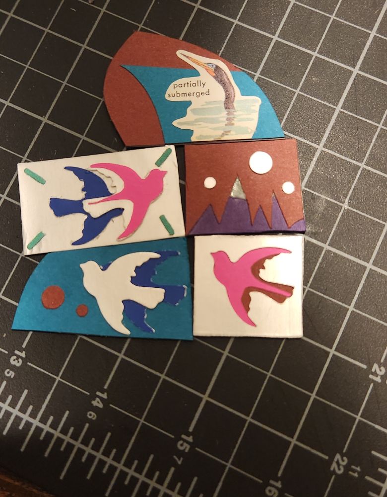 5 magnets, teal and maroon background, a cormorant poking their head out of the water that says "patially submerged", a rectangle with pink and blue birds with a silver background. A mountain scape. Silver and blue birds on a teal background, a pink and red bird on a silver background.