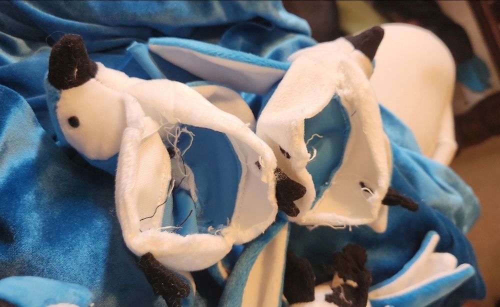 Empty skins of the beanie baby blue jays