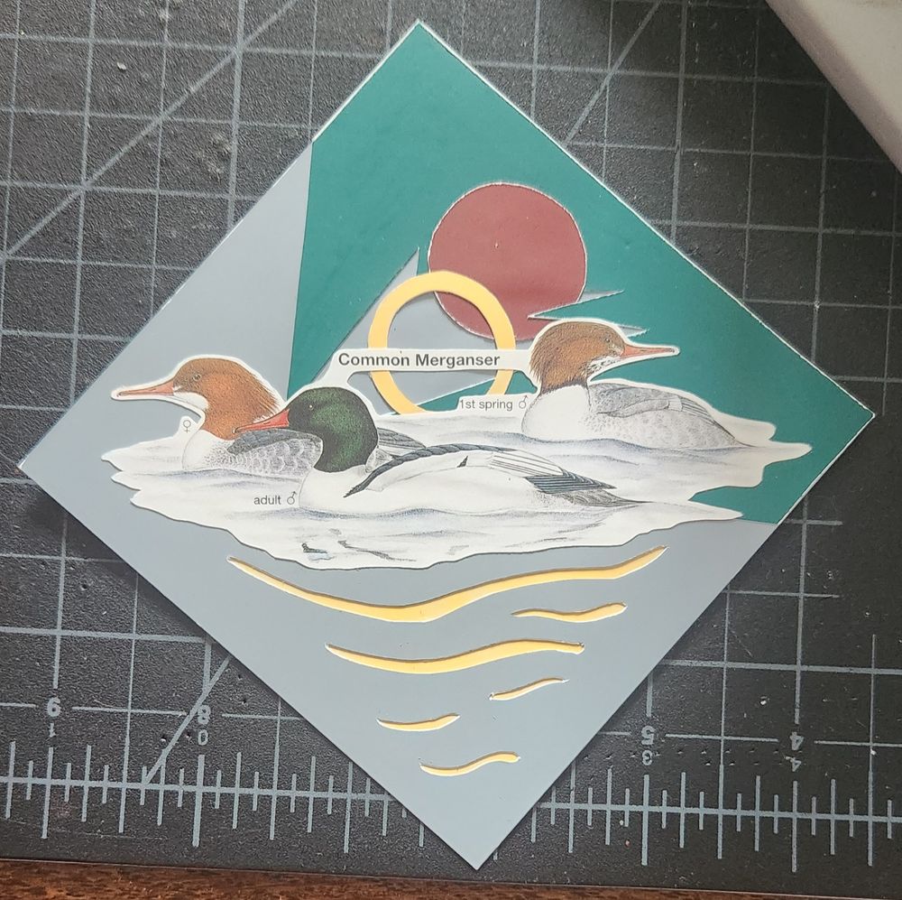 Mergansers on pale blue water with jagged green veridian, yellow and red sun reflecting off the water