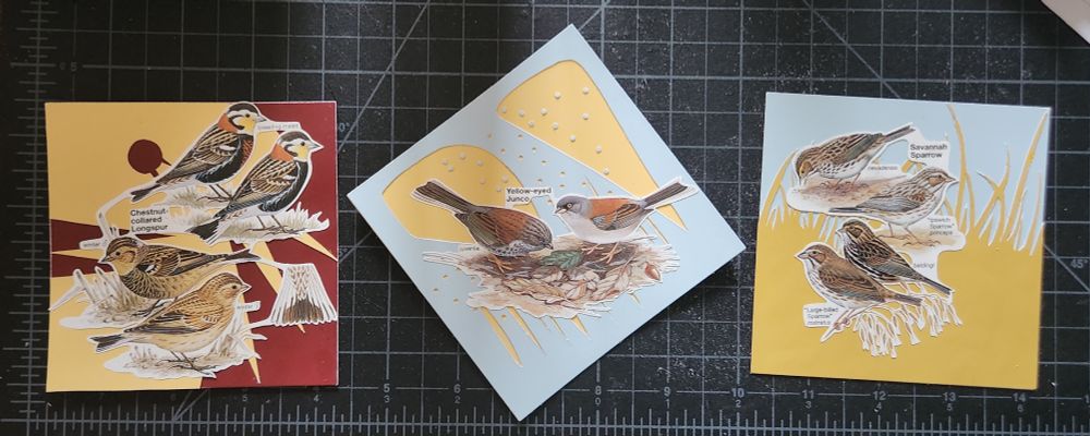First square is a maroon and gold with illustrations Chestnut-Collared Longspur, second is a light blue on top of the same gold with illustrations of Yellow-Eyed Juncos, and the third is a darker gold cut into grass on top of the same light blue with illustrations of Savannah Sparrows