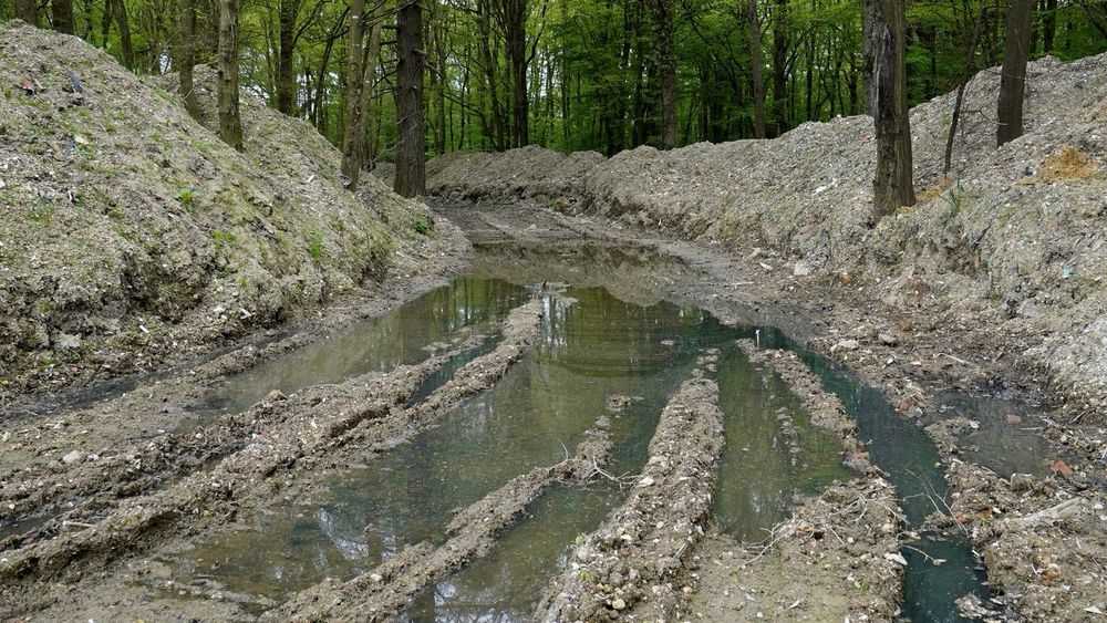 Ancient bluebell woodland smothered in illegal waste as campaigners tell authorities to 'do the right thing'