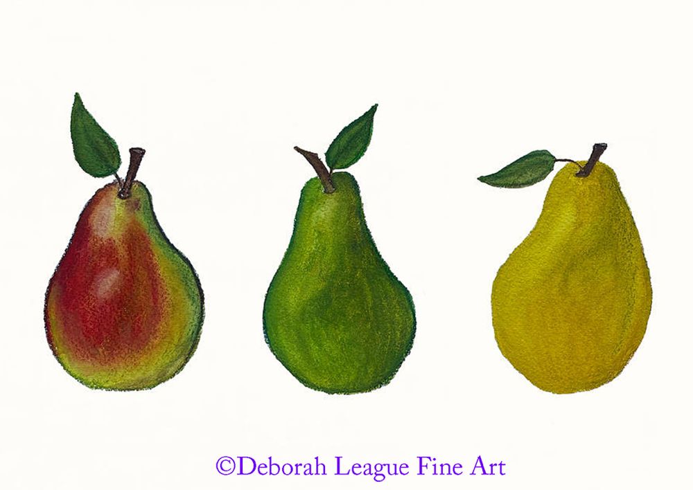 Three pears in a row, colored pencil drawing. Although there are over 3,000 varieties of pears worldwide, featured here are three of the most popular; the Bartlett, Green Anjou and Concorde.