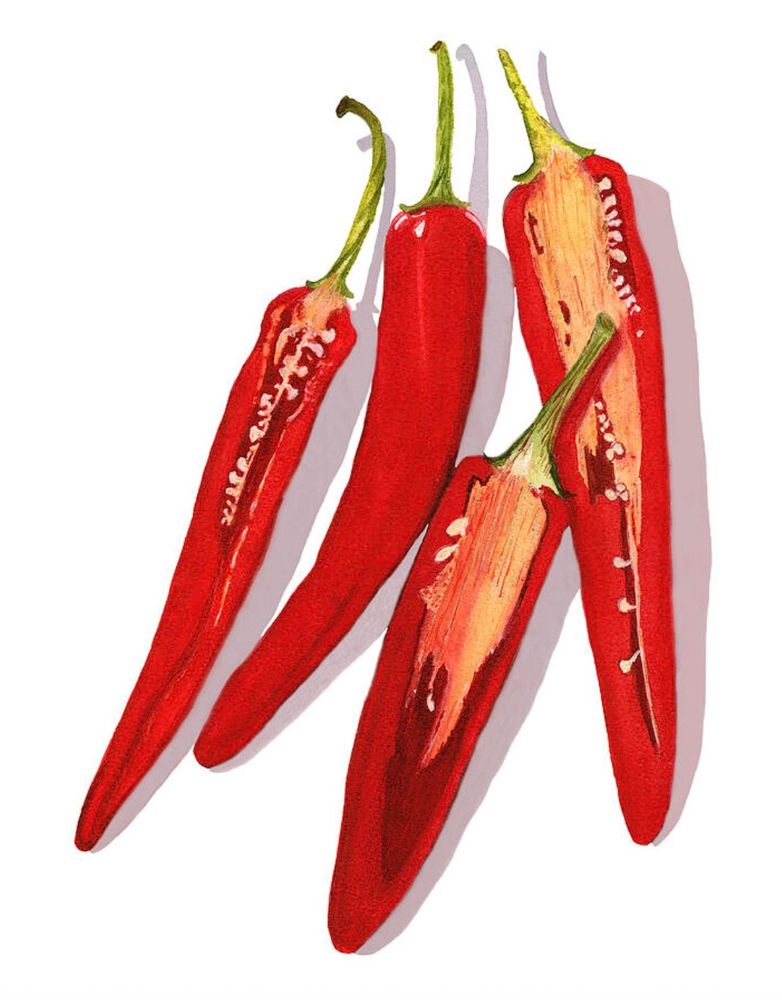 Add a burst of bold color and spice to your home décor with this stunning watercolor art print. Featuring four vivid red bird's eye chilies, this fine art print captures the rich texture and fiery personality of these iconic hot peppers. Perfect for kitchen art, food lovers, or anyone who appreciates botanical and culinary-themed artwork.