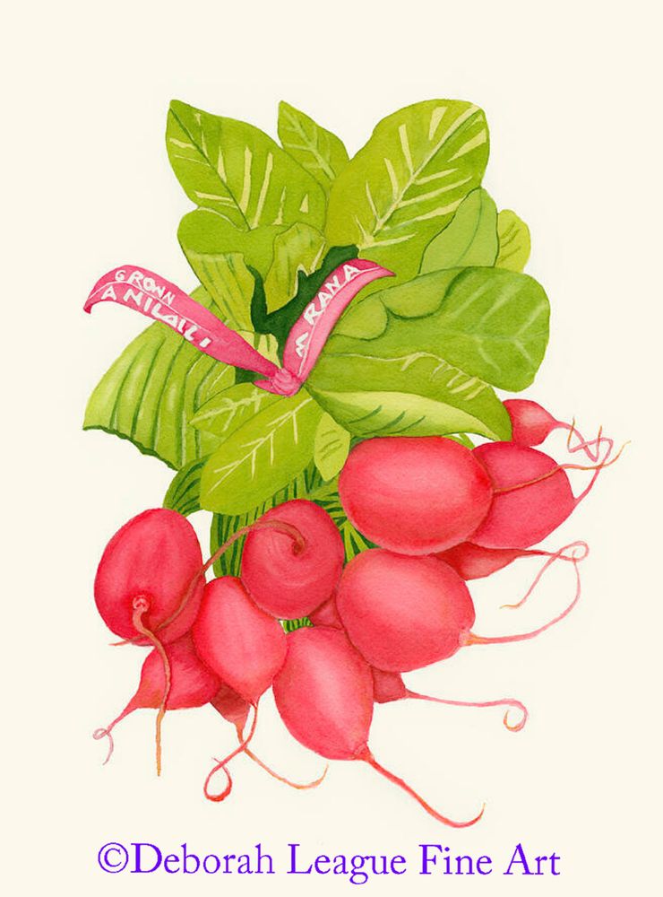 A vibrant bunch of realistically rendered red radishes tied with a wire on a white background. They look so sweet and spicy, can't you just taste them in your next salad? Wonderful art for your kitchen, dining room or restaurant.

Radishes are a root crop that can be juicy, pungent, or sweet in taste. They also come in a variety of colors, including white, red, purple or black, and in terms of shape, they can be long, and cylindrical or round. Radishes may be eaten raw, cooked or pickled. The oil obtained from the seeds of radish is used in a number of beneficial health applications.