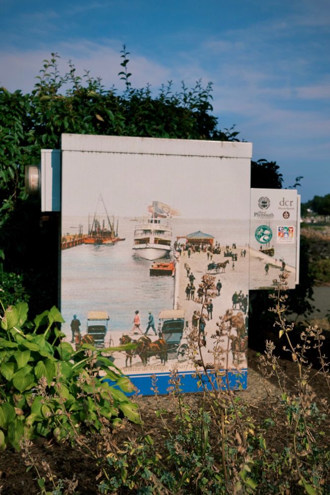 A metal service box painted with a historic pier scene, complete with horse/carriages and a steamship at port with passengers disembarking. Surrounded by green summer vegetation
©️DTL 2025
