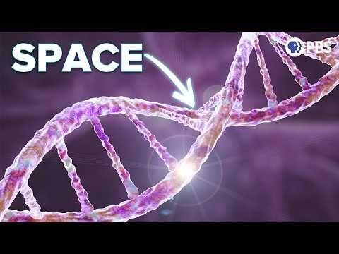 How Did SPACE Shape Your DNA?