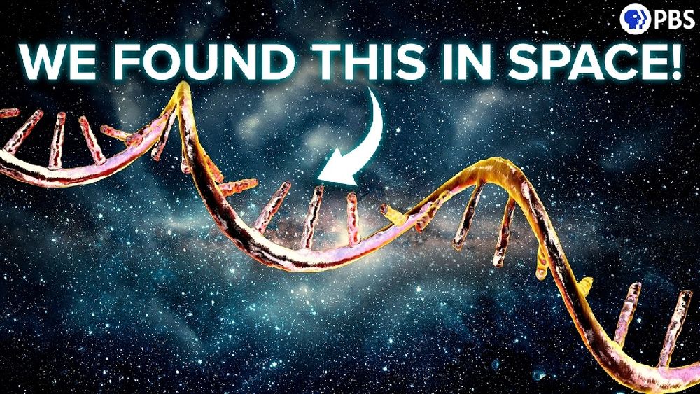 Your DNA Is (Almost Certainly) From Outer Space