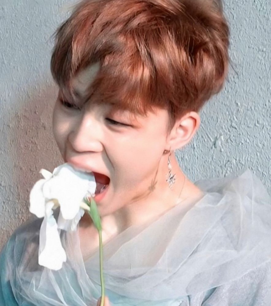 Jimin biting the flower. 
Nom nom! (๑ᵔ⤙ᵔ๑)