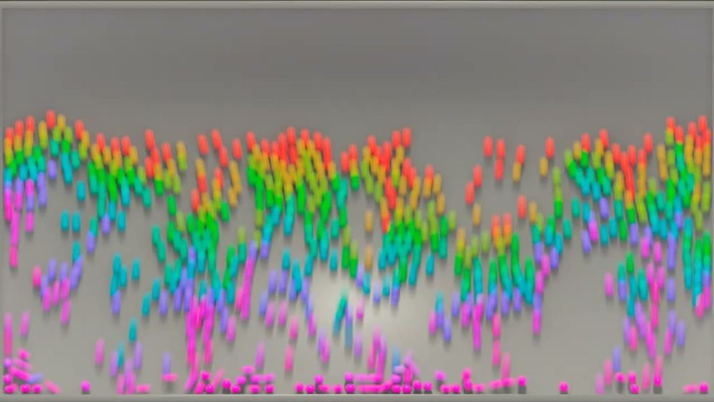 ViCMA: Visual Control of Multibody Animations  (Teaser)