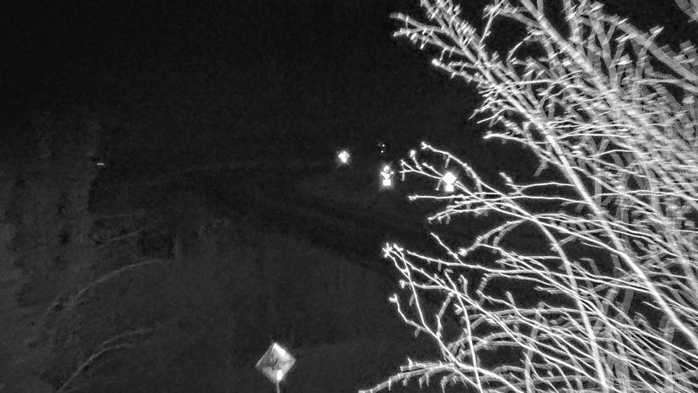 a picture from alaska's 511 cameras located on highway