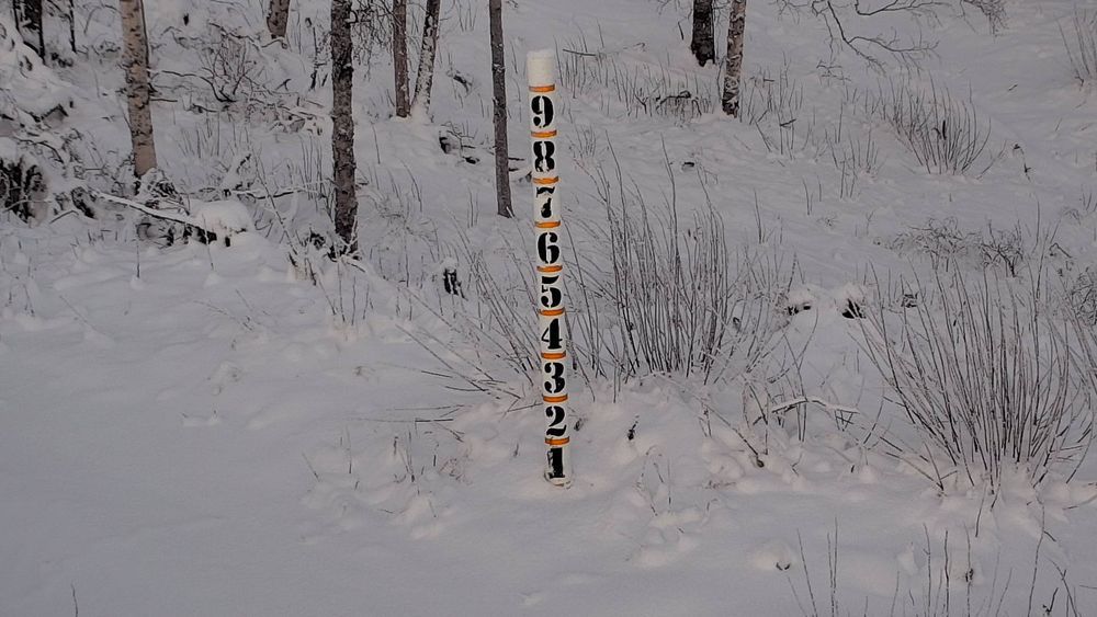 a picture from alaska's 511 cameras located on highway