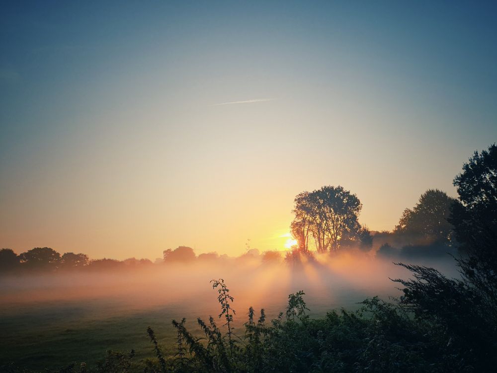 Ein  Sonnenaufgang über einer nebligen Wiese. Die Sonne geht hinter einer Gruppe von Bäumen auf und wirft lange Strahlen durch den morgendlichen Dunst. Der Himmel zeigt einen sanften Übergang von tiefem Blau zu warmem Orange. Im Vordergrund sind Büsche und Gräser zu sehen.
