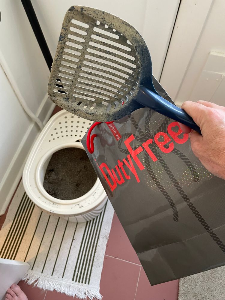 A picture of a duty-free bag above a cat litter box that has poop in it