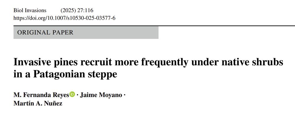pdf of the paper