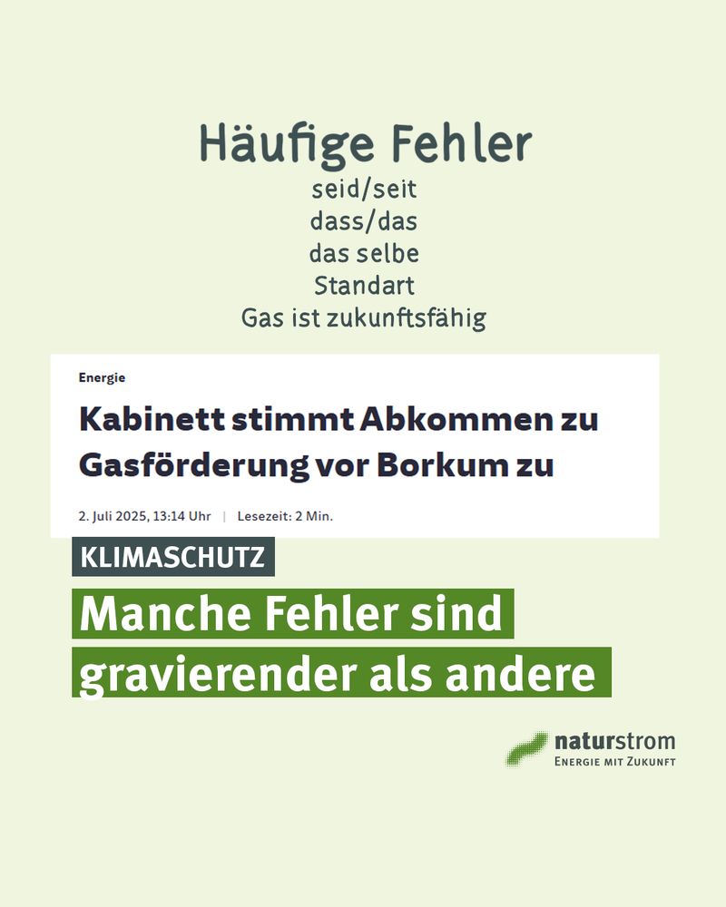 Auf einem hellgrünen Hintergrund steht oben mittig in großer, kindlich-verspielter Schrift „Häufige Fehler“. Darunter folgen fünf Beispiele für typische Sprachfehler: „seid/seit“, „dass/das“, „das selbe“, „Standart“ und „Gas ist zukunftsfähig“. Letzteres hebt sich inhaltlich als ironischer Kommentar hervor. Darunter erscheint ein Screenshot eines Nachrichtenartikels mit der Schlagzeile: „Kabinett stimmt Abkommen zu Gasförderung vor Borkum zu“, datiert auf den 2. Juli 2025. Darunter in dunkelgrüner Schrift auf farblich hervorgehobenen Balken steht groß: „KLIMASCHUTZ“, gefolgt von „Manche Fehler sind gravierender als andere“. Unten rechts ist das Logo der naturstrom AG mit dem Claim „Energie mit Zukunft“ zu sehen. Die Bildkomposition nutzt die Gegenüberstellung von harmlosen Sprachfehlern und der klimapolitisch umstrittenen Entscheidung zur Gasförderung als starke visuelle und inhaltliche Pointe.