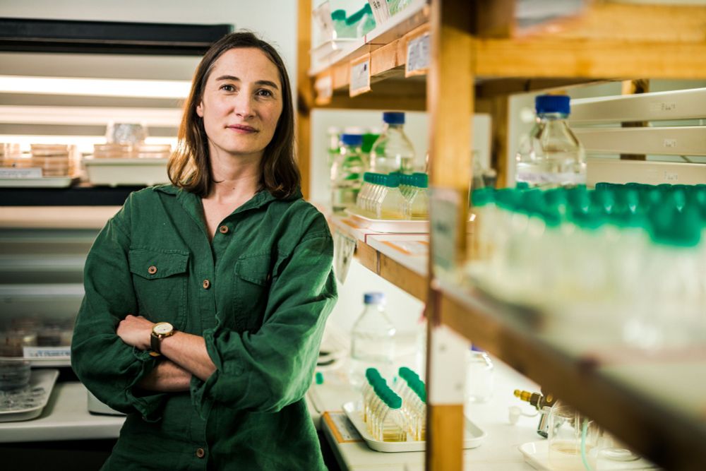 Dr Katherine Helliwell © The Marine Biological Association.