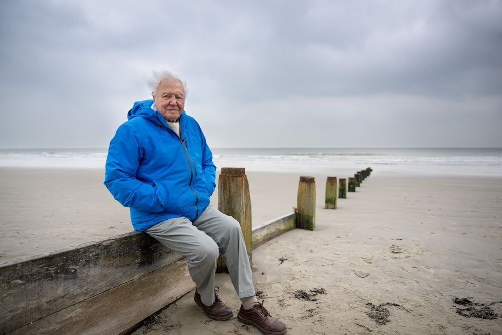 Sir David Attenborough looks out to sea in Southern England. OCEAN WITH DAVID
ATTENBOROUGH highlights the vital, achievable actions the world can take to restore
the ocean and stabilise the climate, debuting in 2025. Photo by © Conor McDonnell.