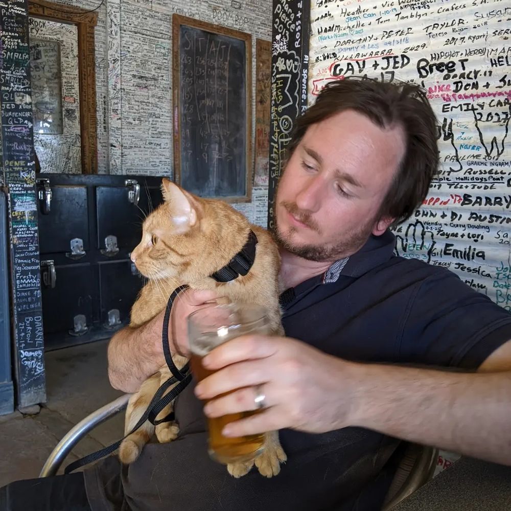 Ginger cat being offered a beer in a pub with lots of writing on the corrugated iron walls. 