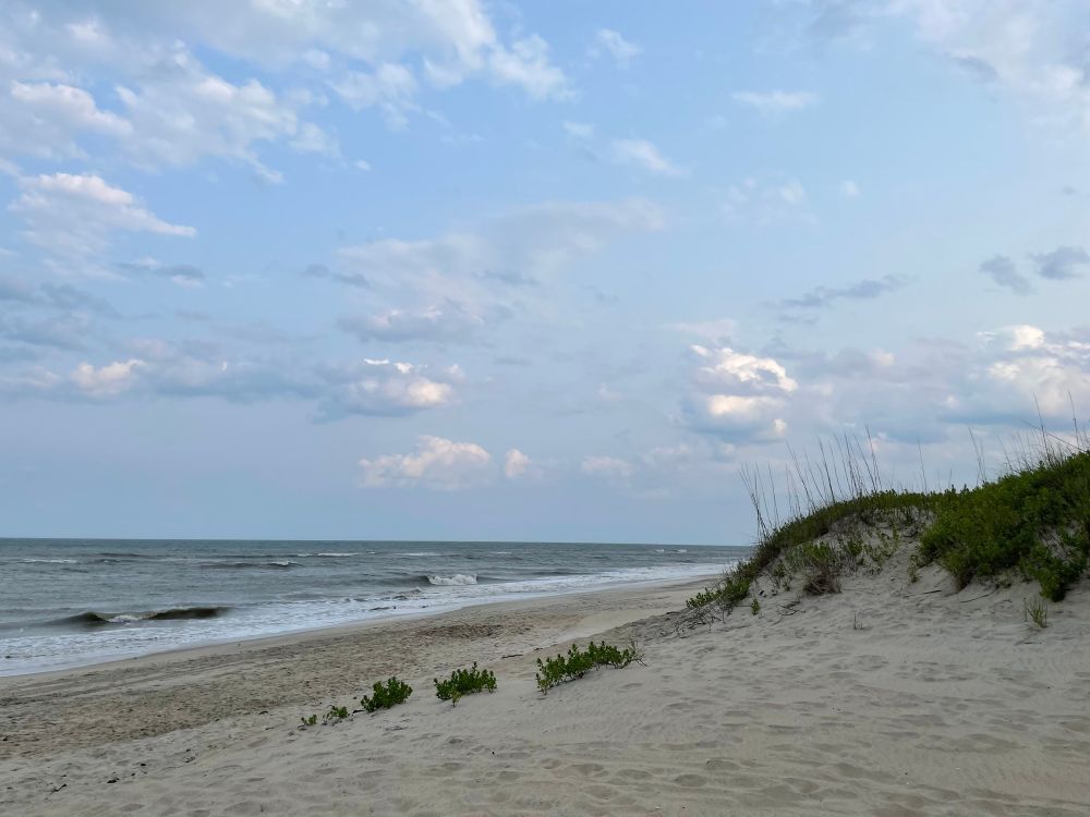Light colored ocean with sand dune covered in vegetation 