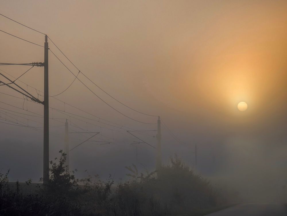 Morgensonne scheint durch den Nebel, Bahnstrecke Hamburg - Berlin, südliches Schleswig Holstein 