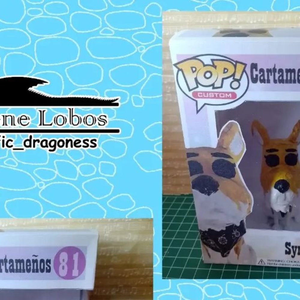 Selene C. Lobos on Instagram: "For @tatyanavaleroreader 
Syra B.!
#selenelobos #custompop #funkocustom #popvinyl #handmade #hechoamano #pet #family #dogs"