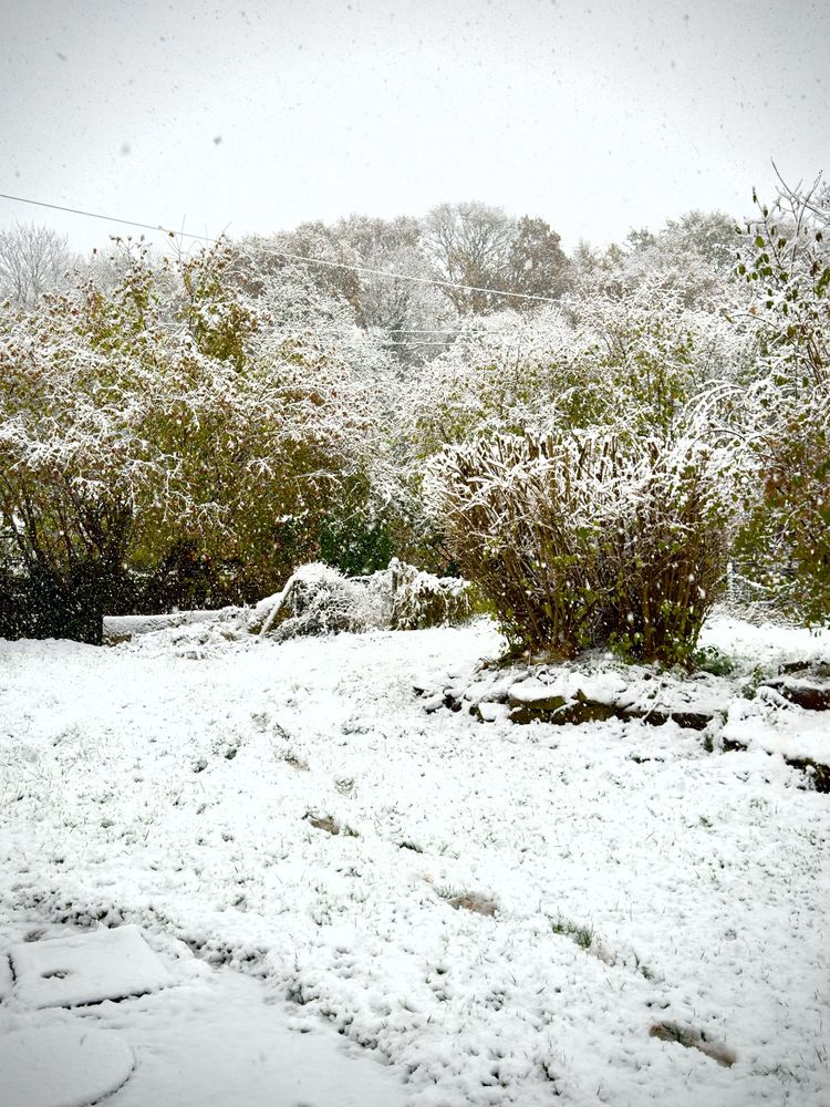 A garden in rural Devon with a covering of snow, enough to render a path and grass only just visible