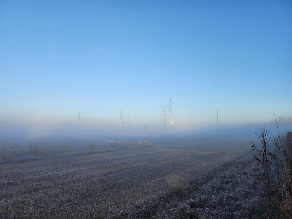 Foggy field with powerlines in the back