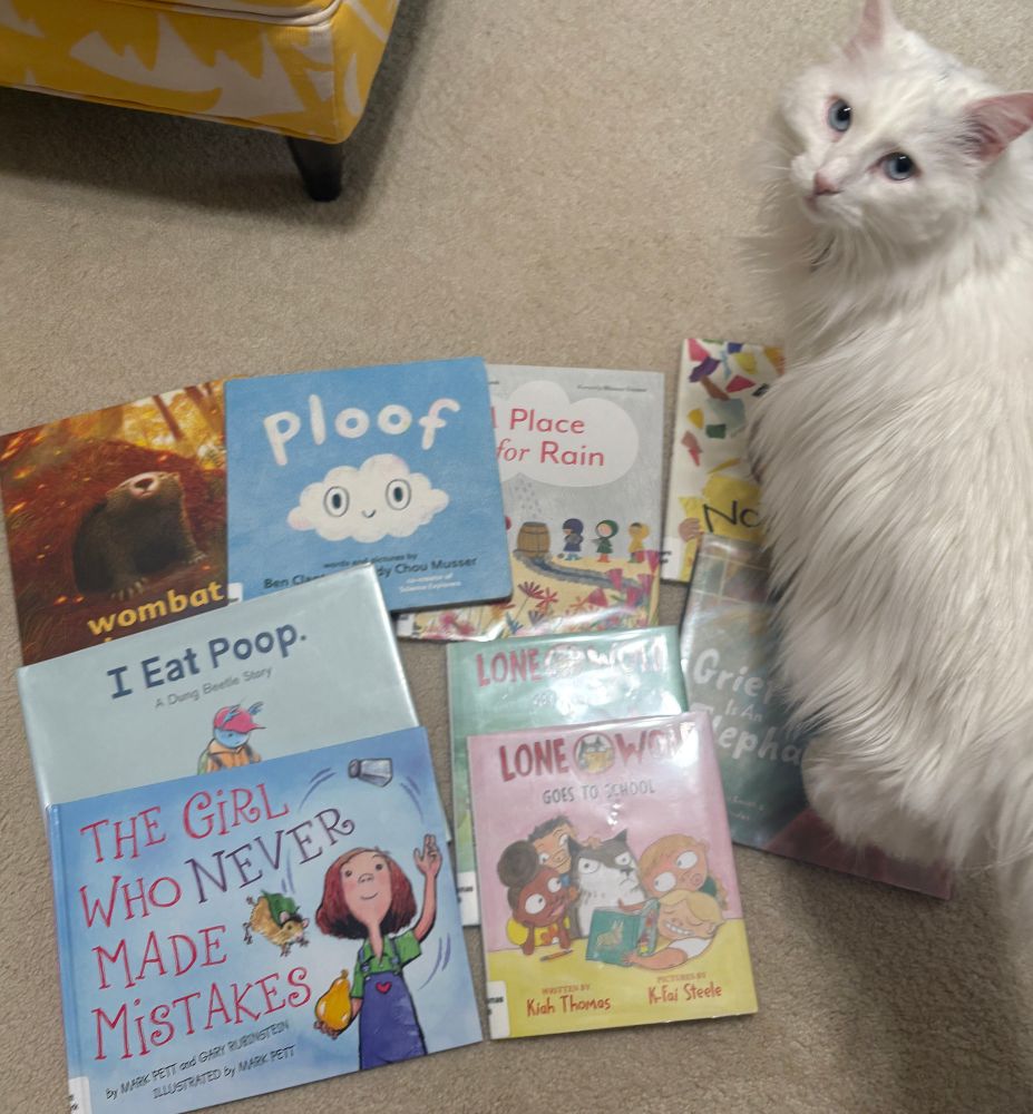 Photo of white cat sitting on top of 7 picture books against a tan carpet 
