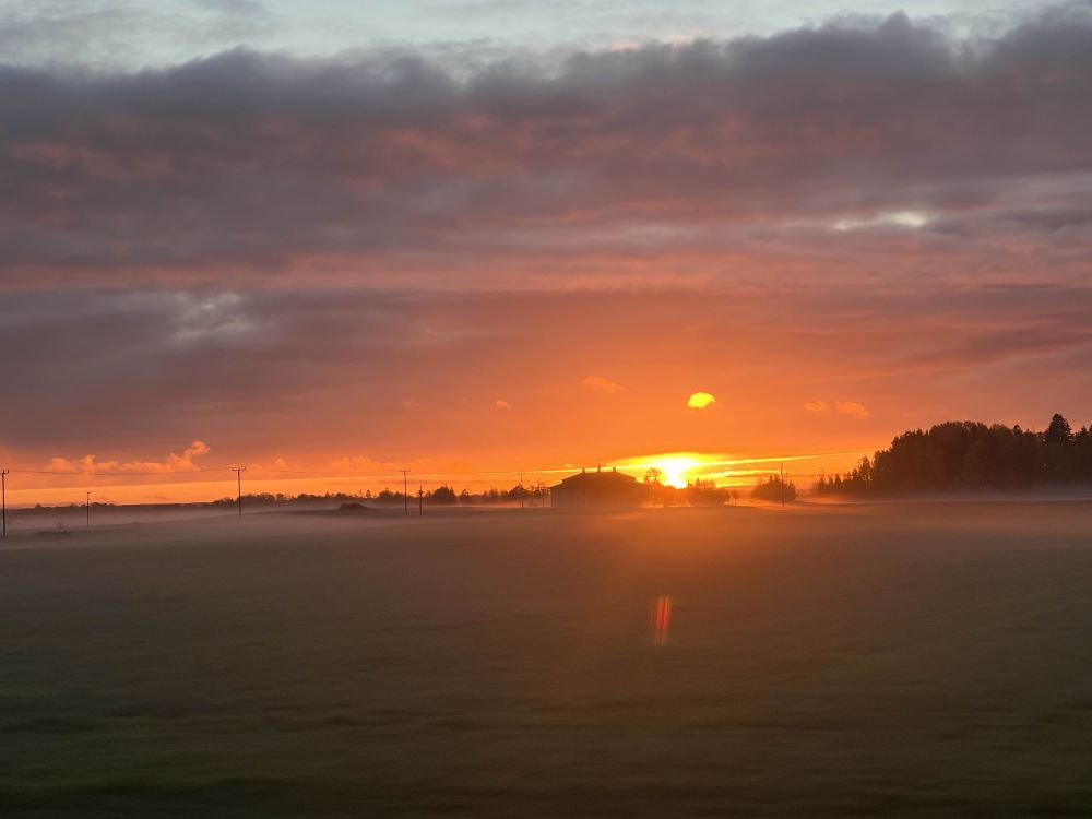 Sunrise over a field in south west of Sweden. The fog hands heavy over the field. 