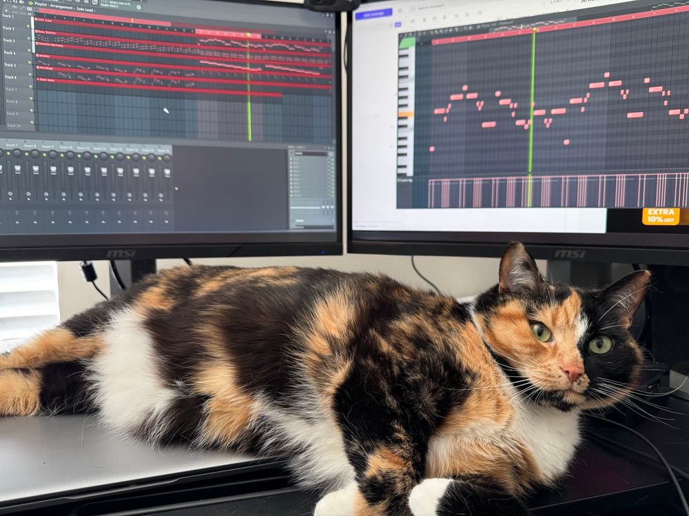 Spoiled rotten calico cat. 