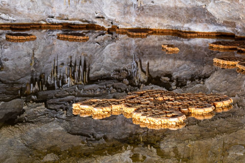 Photograph of lilypad-like cave formations on an extremely reflective lake surface. Stalactites on the ceiling appear like stalagmites when reflected on the water.