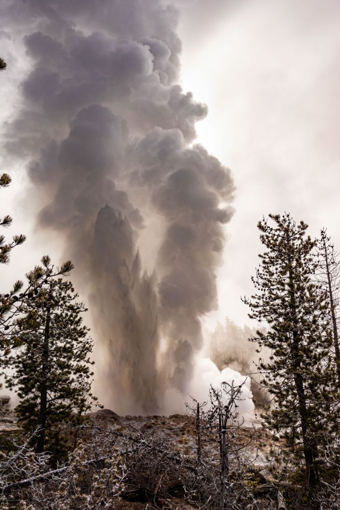Photo of Steamboat Geyser erupting against a grey morning sky with short trees in the foreground. The water jets from Steamboat's two vents have a similar height ratio to that of the lava fountaining at Halemaʻumaʻu.