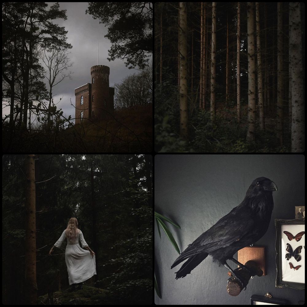 A collage of four photos with a dark and moody aesthetic. The first photo is of a tower in the background taken from below. There is shrubbery and brush in the foreground. The second photo is of a dark forest. The tree trunks are the main focus of the photo. The third photo is a woman walking away from the camera. She is holding her skirt of her long white dress. Her hair islight brown/blonde wavy and she is walking along a wooded path. There is a lot of dark green shrubbery in the background. The last photo is of a raven or crow that is perched on a wooden dowel. There are moths pinned into a box beside the bird. 